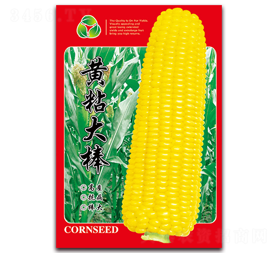 �Sճ���-Ŵ���׷N��-���ǷN�I(y��)