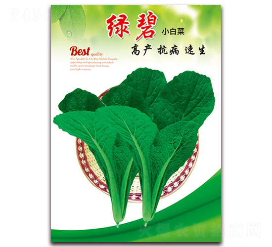 �G��-С�ײ˷N��-���ǷN�I(y��)