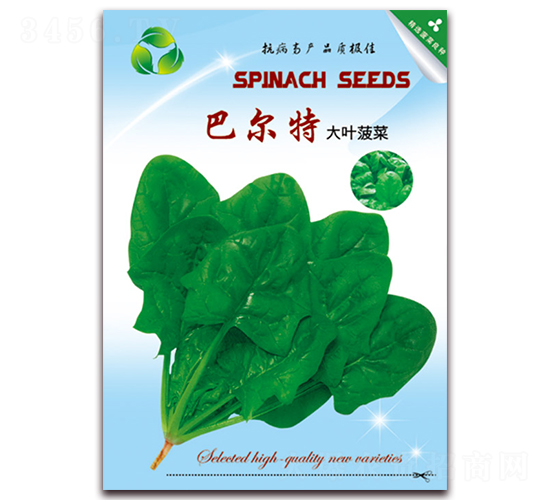 巴爾特-菠菜種子-天星種業(yè)