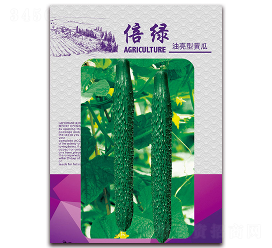 倍綠-黃瓜種子-天星種業(yè)