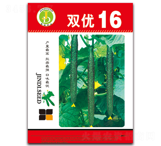 雙優(yōu)16-黃瓜種子-天星種業(yè)