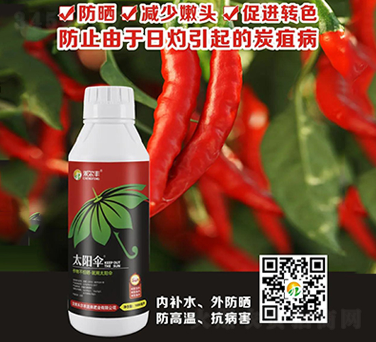 ̫ꖂ�-�̠��S