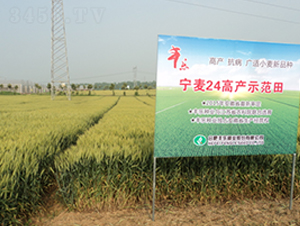 ����24-С���N��-�S���N�I(y��)