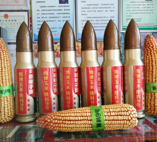 陜科9號(hào)-玉米種子-豐樂(lè)種業(yè)