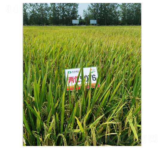 �Ƀ�(y��u)5076-ˮ���N��-�S��(l��)�N�I(y��)