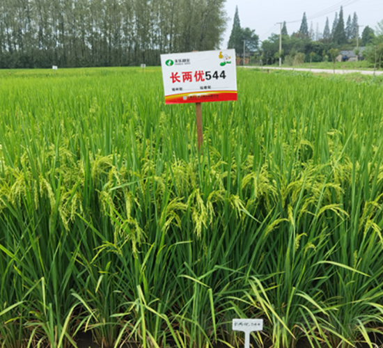 �L�Ƀ�(y��u)544-ˮ���N��-�S���N�I(y��)