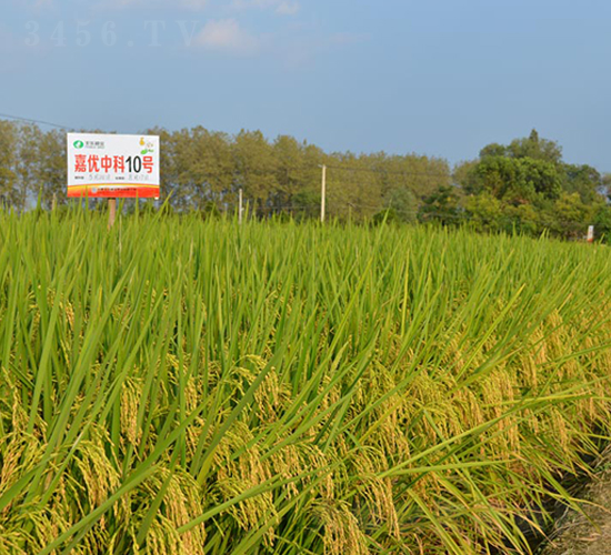 �΃�(y��u)�п�10̖(h��o)-ˮ���N��-�S��(l��)�N�I(y��)