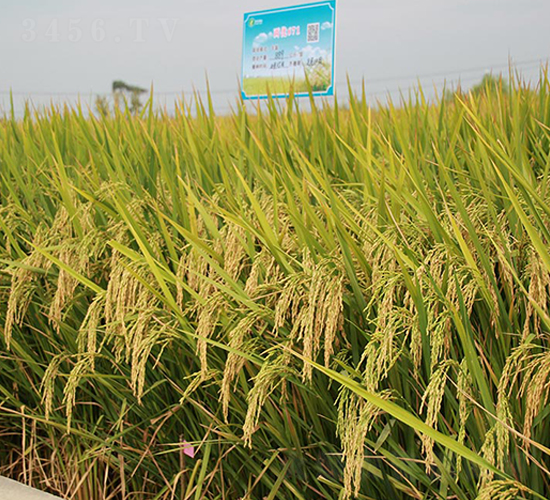 �Ƀ�(y��u)671-ˮ���N��-�S���N�I(y��)