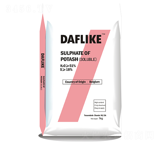 ���������-�¸��R��-����