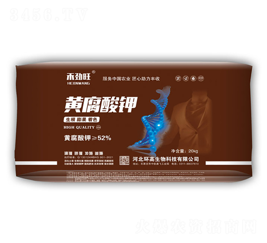 �S�����-�̄���-�h(hu��n)������