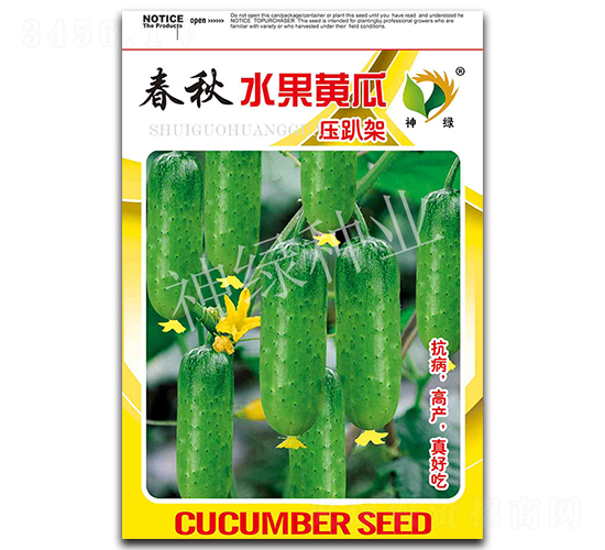 春秋水果黃瓜壓趴架-水果黃瓜種子-華益種業(yè)