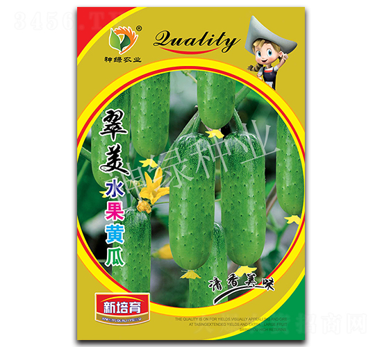 翠美-水果黃瓜種子-華益種業(yè)