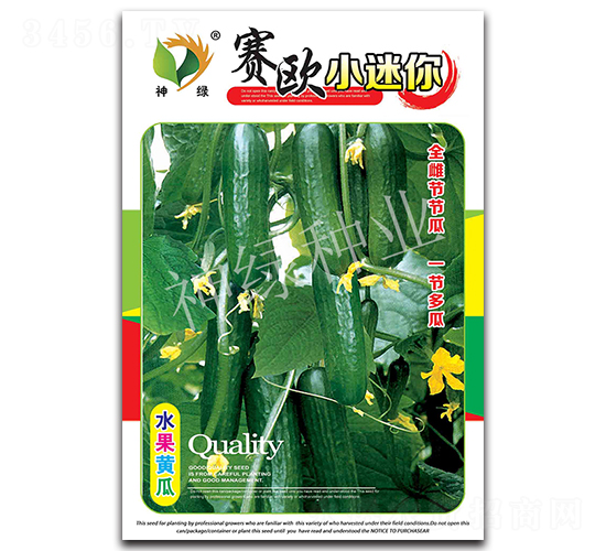 賽歐小迷你-水果黃瓜種子-華益種業(yè)
