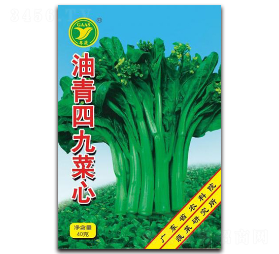 油青四九菜心-菜心種子-科農(nóng)