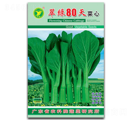 翠綠80天-菜心種子-科農(nóng)