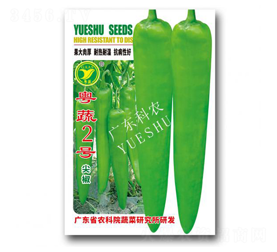 粵蔬2號-辣椒種子-科農(nóng)