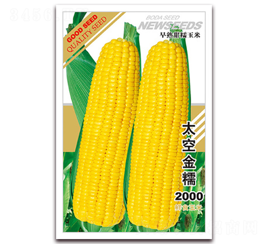 ̫�ս�Ŵ2000-��Ŵ���׷N��-�β���