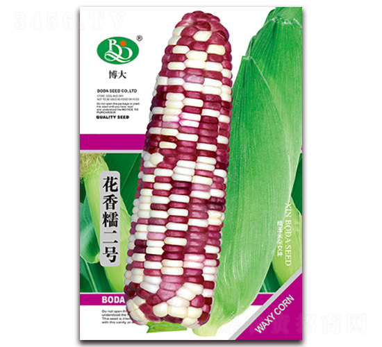 花香糯二號(hào)-香糯玉米種子-鑫博大