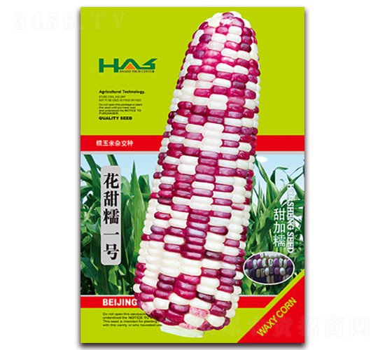 花甜糯一號(hào)-甜糯玉米種子-鑫博大