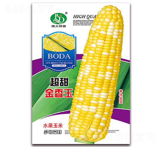 超甜金香玉-甜糯玉米種子-鑫博大