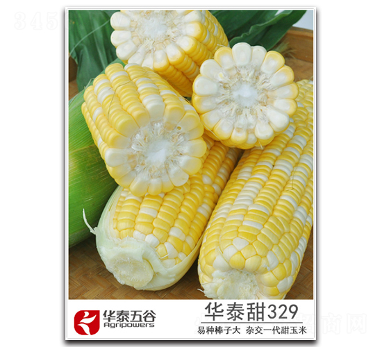 華泰甜329-甜玉米種子-華泰五谷