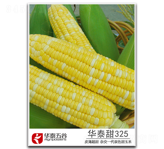 華泰甜325-甜玉米種子-華泰五谷
