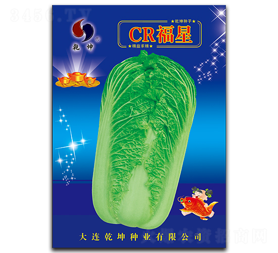 CR福星-白菜種子-乾坤種業(yè)