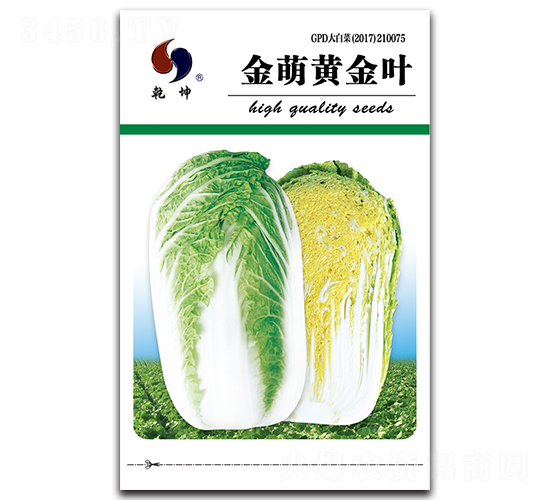 �����S���~-�ײ˷N��-Ǭ���N�I(y��)