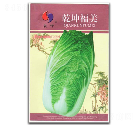 乾坤福美-白菜種子-乾坤種業(yè)