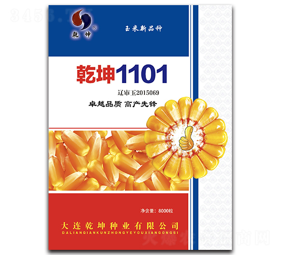 乾坤1101-玉米種子-乾坤種業(yè)