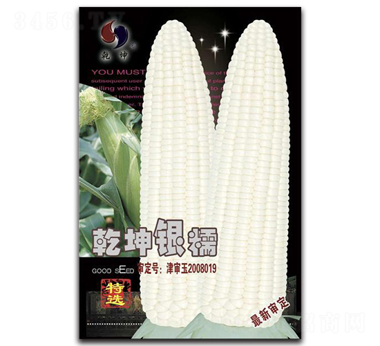 乾坤銀糯-玉米種子-乾坤種業(yè)