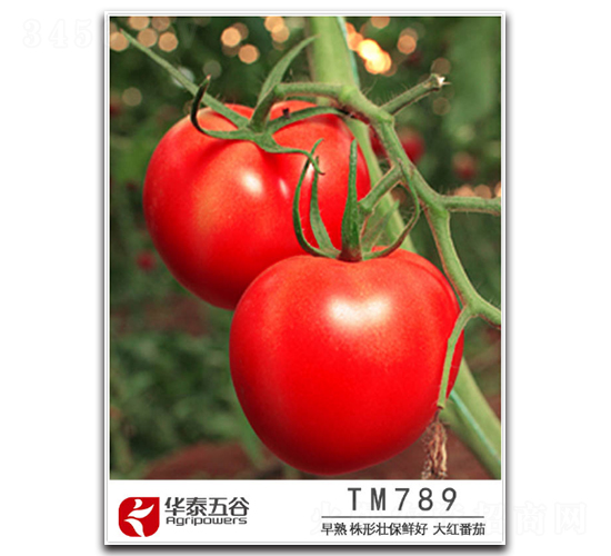 TM789-���ѷN��-�A̩���