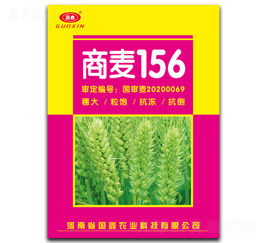 商麥156-小麥種子-豫神農(nóng)業(yè)
