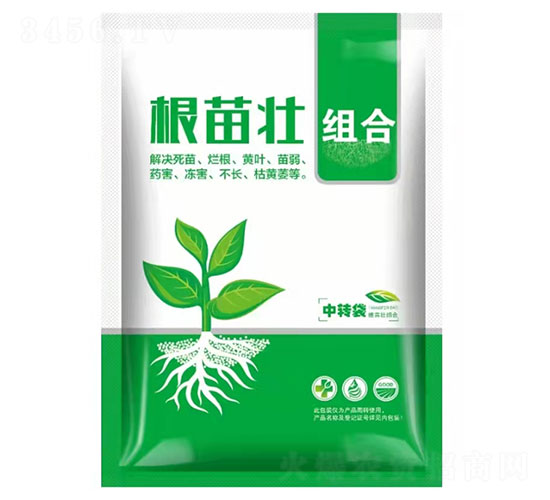 ���������������ײ�-�����-ʢ�ļ�