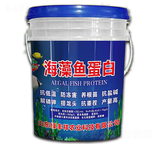 �����~����-�G�S���r�I(y��)