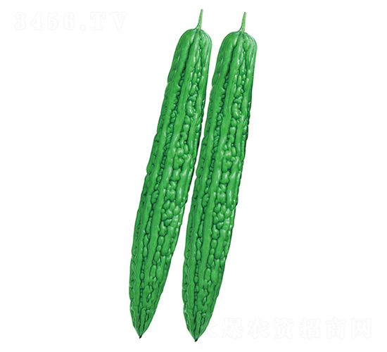 ����-��ϷN��-����