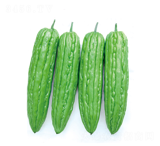 ��׿��̖-��ϷN��-����