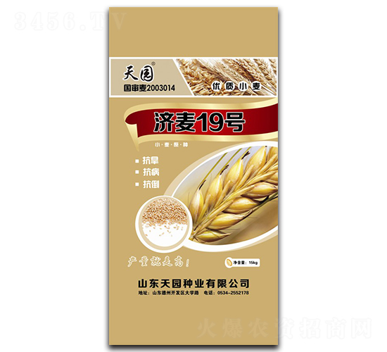 濟麥19-小麥種子-天園種業(yè)