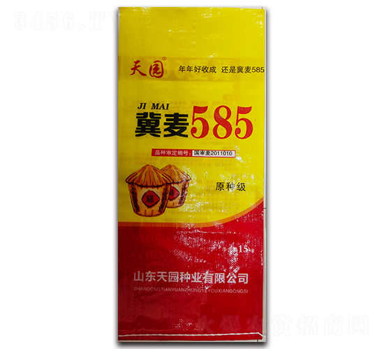 冀麥585-小麥種子-天園種業(yè)