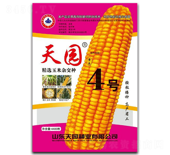 天園4號(hào)-玉米種子-天園種業(yè)