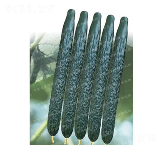 �¸�C57-�S�ϷN��-�¸�