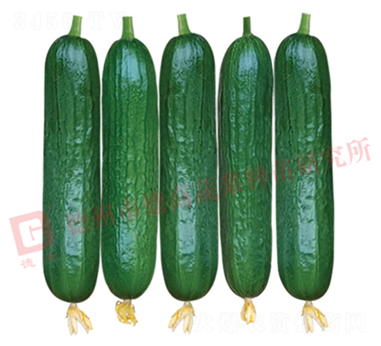 �¸ߚW����-�S�ϷN��-�¸�