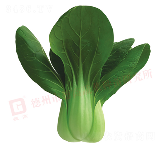 �¸�579-�๣�˷N��-�¸�