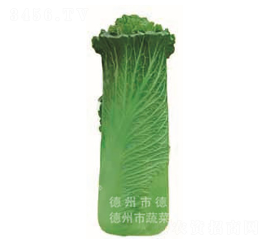 �����~�ײ�-���A80-��ײ˷N��-�¸�