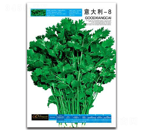 意大利-8-香菜種子-鑫園世家