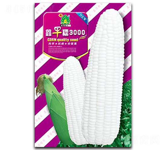 ����Ŵ3000-���׷N��-�Έ@����