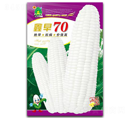 鑫早70-玉米種子-鑫園世家