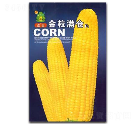 改良金粒滿倉-玉米種子-鑫園世家