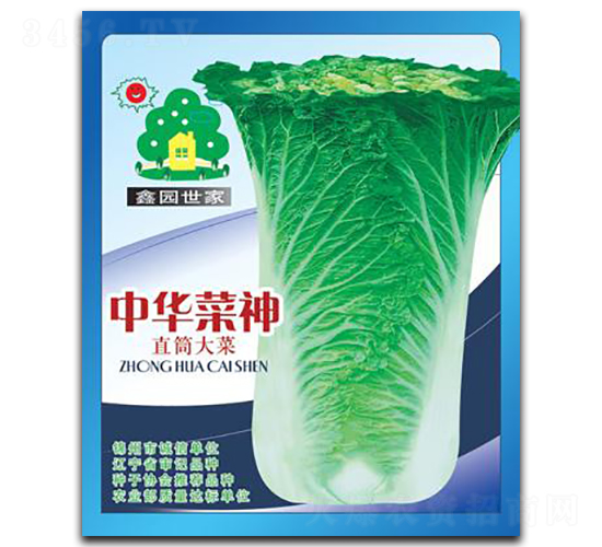 中華菜神直筒大菜-白菜種子-鑫園世家