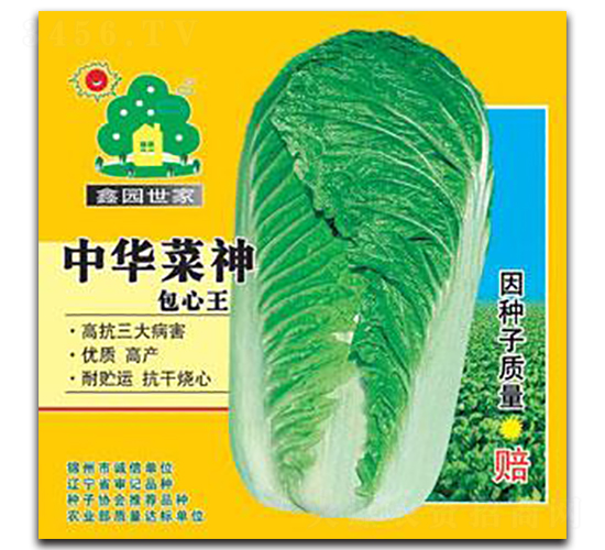 中華菜神包心王-白菜種子-鑫園世家
